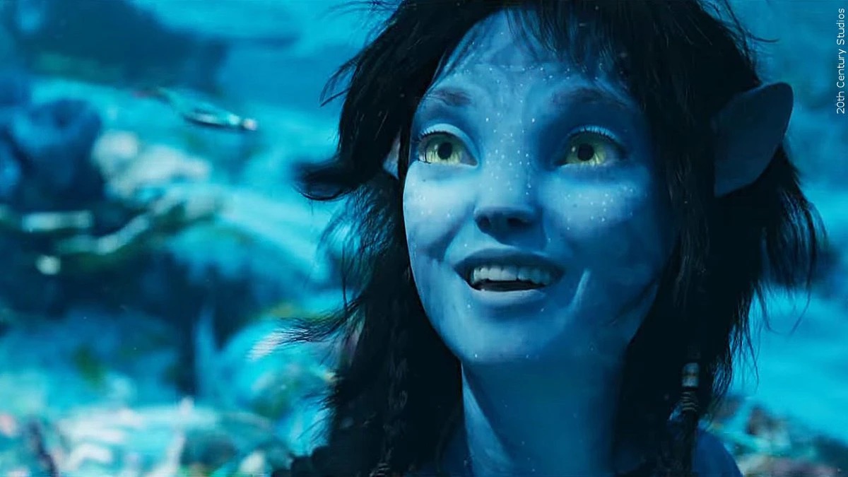 Avatar 5 2031  IMDb